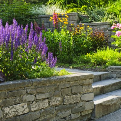 Natural,Stone,Landscaping,In,Home,Garden,With,Steps,And,Flowerbeds
